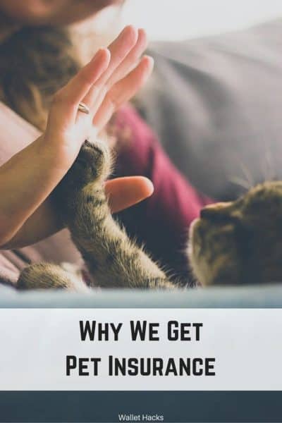 Existe una razón muy específica por la que contamos con un seguro para mascotas. Puede que no sea lo que piensas ...