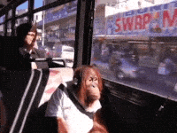 Cómo invertir en ti mismo